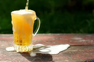 Cerveza