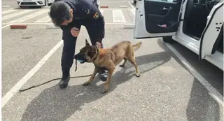 La Policía Nacional registra el vehículo