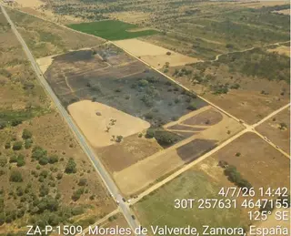 Incendio en Santa María de Valverde | Junta de Castilla y León