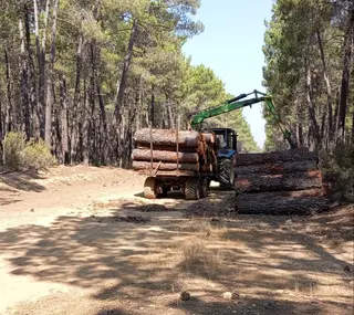 Maquinaria forestal en el monte de Perilla